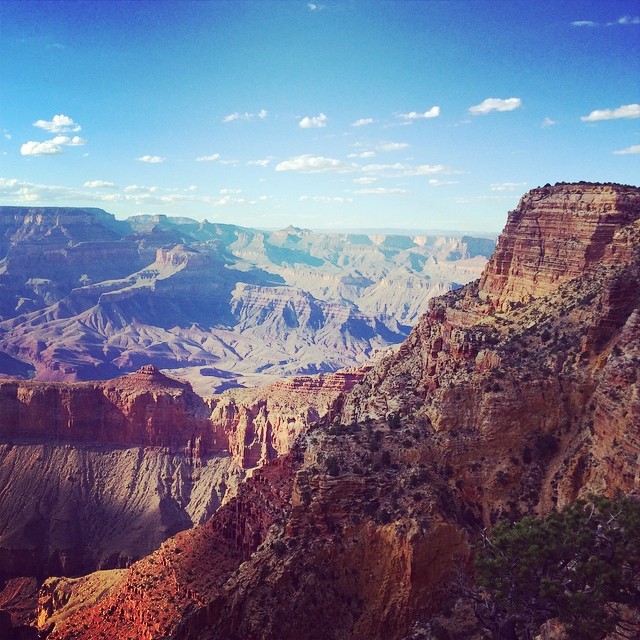 South Rim Bus Day with Park Entry and Box Lunch for South Rim tours